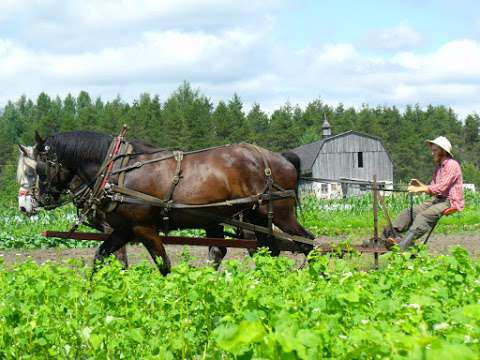 La Ferme Trotteuse